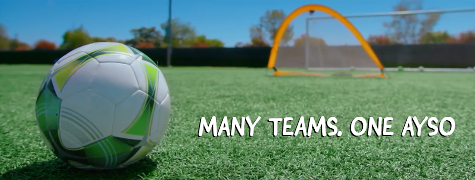 Many Teams. One AYSO